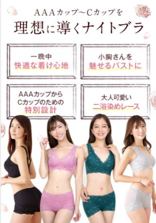 小胸専用のナイトブラ